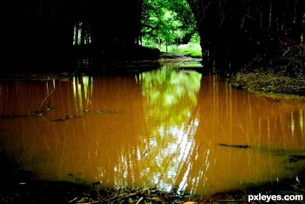 Back water reflection